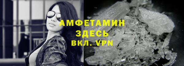 прущие грибы Армянск
