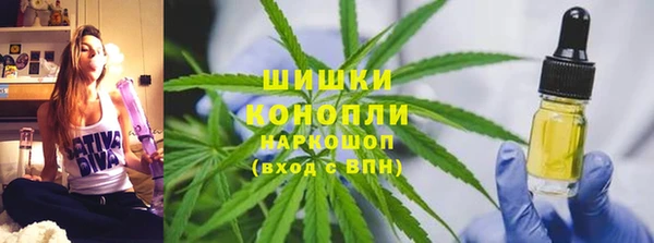 прущие грибы Армянск