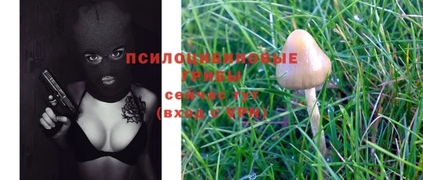 синтетический гашиш Арсеньев