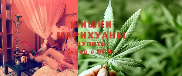 прущие грибы Армянск