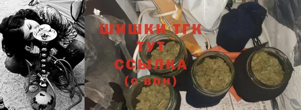 прущие грибы Армянск