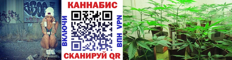 Каннабис MAZAR  Ртищево 